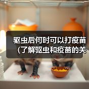 驱虫后何时可以打疫苗（了解驱虫和疫苗的关系以及最佳时间）