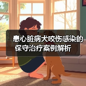 患心脏病犬咬伤感染的保守治疗案例解析(图3)