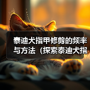 泰迪犬指甲修剪的频率与方法（探索泰迪犬指甲修剪的最佳时间和技巧）(图3)