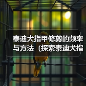 泰迪犬指甲修剪的频率与方法（探索泰迪犬指甲修剪的最佳时间和技巧）(图4)