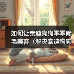 如何让泰迪狗狗乖乖修毛美容（解决泰迪狗狗修剪美毛时乱动不听话的问题）(图4)