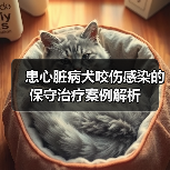 患心脏病犬咬伤感染的保守治疗案例解析(图4)