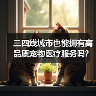 三四线城市也能拥有高品质宠物医疗服务吗?(图2) 三四线城市也能拥有高品质宠物医疗服务吗?(图2)