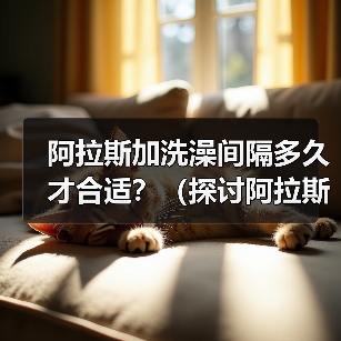 阿拉斯加洗澡间隔多久才合适?(探讨阿拉斯加犬洗澡的最佳频率和注意事项)(图2) 阿拉斯加洗澡间隔多久才合适?(探讨阿拉斯加犬洗澡的最佳频率和注意事项)(图2)