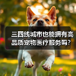 三四线城市也能拥有高品质宠物医疗服务吗?(图4) 三四线城市也能拥有高品质宠物医疗服务吗?(图4)