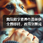 我院数字素养作品斩获全国标杆，教育创新成果获认可！