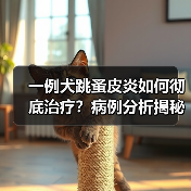 一例犬跳蚤皮炎如何彻底治疗?病例分析揭秘(图2) 一例犬跳蚤皮炎如何彻底治疗?病例分析揭秘(图2)