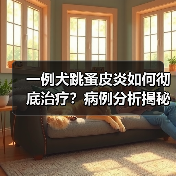 一例犬跳蚤皮炎如何彻底治疗?病例分析揭秘(图4) 一例犬跳蚤皮炎如何彻底治疗?病例分析揭秘(图4)