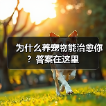 为什么养宠物能治愈你?答案在这里(图3) 为什么养宠物能治愈你?答案在这里(图3)