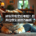 脓包异物定位难题？超声扫查实战技巧解析(图4)