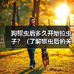 狗驱虫后多久开始拉虫子？（了解驱虫后的关键时间点及注意事项）