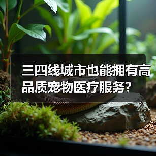 三四线城市也能拥有高品质宠物医疗服务?(图1) 三四线城市也能拥有高品质宠物医疗服务?(图1)