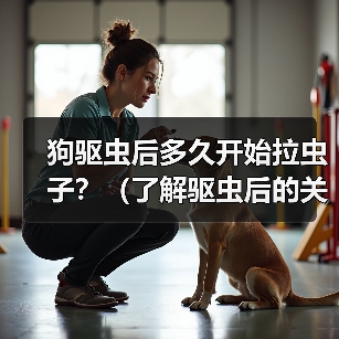 狗驱虫后多久开始拉虫子?(了解驱虫后的关键时间点及注意事项)(图3) 狗驱虫后多久开始拉虫子?(了解驱虫后的关键时间点及注意事项)(图3)