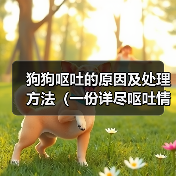 狗狗呕吐的原因及处理方法（一份详尽呕吐情况大全，让你轻松解决狗狗的呕吐问题）
