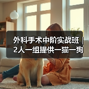外科手术中阶实战班|2人一组提供一猫一狗,实操机会多到爆!(图1) 外科手术中阶实战班|2人一组提供一猫一狗,实操机会多到爆!(图1)