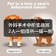 外科手术中阶实战班|2人一组提供一猫一狗,实操机会多到爆!(图2) 外科手术中阶实战班|2人一组提供一猫一狗,实操机会多到爆!(图2)