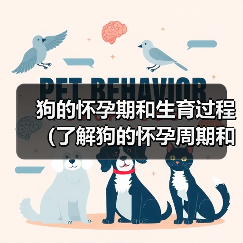 狗的怀孕期和生育过程(了解狗的怀孕周期和分娩过程以及照顾幼犬的关键知识)(图2) 狗的怀孕期和生育过程(了解狗的怀孕周期和分娩过程以及照顾幼犬的关键知识)(图2)