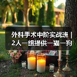 外科手术中阶实战班|2人一组提供一猫一狗,实操机会多到爆!(图4) 外科手术中阶实战班|2人一组提供一猫一狗,实操机会多到爆!(图4)