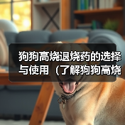 狗狗高烧退烧药的选择与使用（了解狗狗高烧常用退烧药，保护你的爱犬健康）