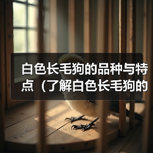 白色长毛狗的品种与特点（了解白色长毛狗的各个品种及其特征，选择适合自己的宠物伴侣