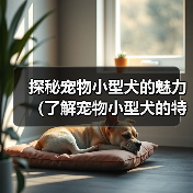 探秘宠物小型犬的魅力(了解宠物小型犬的特点与养护)(图3) 探秘宠物小型犬的魅力(了解宠物小型犬的特点与养护)(图3)