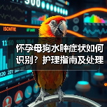 怀孕母狗水肿症状如何识别?护理指南及处理方法解析(图3) 怀孕母狗水肿症状如何识别?护理指南及处理方法解析(图3)