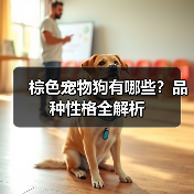 棕色宠物狗有哪些？品种性格全解析
