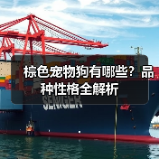 棕色宠物狗有哪些?品种性格全解析(图2) 棕色宠物狗有哪些?品种性格全解析(图2)