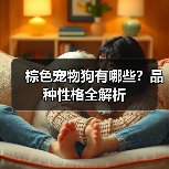 棕色宠物狗有哪些?品种性格全解析(图3) 棕色宠物狗有哪些?品种性格全解析(图3)