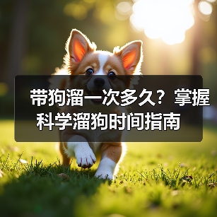 带狗溜一次多久？掌握科学溜狗时间指南
