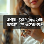 如何训练你的猫成为理想宠物（掌握这些技巧，让你的猫表现出色）(图3)