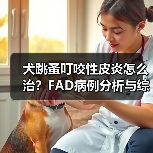 犬跳蚤叮咬性皮炎怎么治?FAD病例分析与综合治疗方案(图1) 犬跳蚤叮咬性皮炎怎么治?FAD病例分析与综合治疗方案(图1)