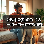 外科中阶实操班:2人一组一猫一狗实战演练,技能提升快(图1) 外科中阶实操班:2人一组一猫一狗实战演练,技能提升快(图1)