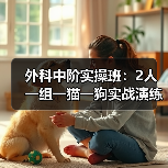 外科中阶实操班:2人一组一猫一狗实战演练,技能提升快(图2) 外科中阶实操班:2人一组一猫一狗实战演练,技能提升快(图2)