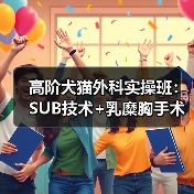 高阶犬猫外科实操班:SUB技术+乳糜胸手术全解析(图1) 高阶犬猫外科实操班:SUB技术+乳糜胸手术全解析(图1)