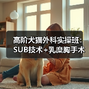 高阶犬猫外科实操班:SUB技术+乳糜胸手术全解析(图3) 高阶犬猫外科实操班:SUB技术+乳糜胸手术全解析(图3)