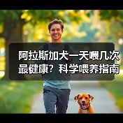 阿拉斯加犬一天喂几次最健康?科学喂养指南(图4) 阿拉斯加犬一天喂几次最健康?科学喂养指南(图4)
