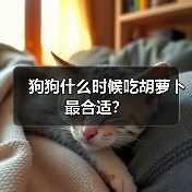 狗狗什么时候吃胡萝卜最合适？