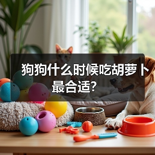 狗狗什么时候吃胡萝卜最合适?(图2) 狗狗什么时候吃胡萝卜最合适?(图2)