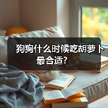 狗狗什么时候吃胡萝卜最合适?(图4) 狗狗什么时候吃胡萝卜最合适?(图4)