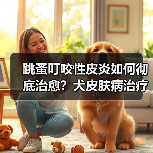 跳蚤叮咬性皮炎如何彻底治愈?犬皮肤病治疗方案解析(图3) 跳蚤叮咬性皮炎如何彻底治愈?犬皮肤病治疗方案解析(图3)