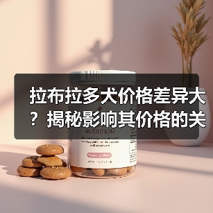 拉布拉多犬价格差异大?揭秘影响其价格的关键因素(图4) 拉布拉多犬价格差异大?揭秘影响其价格的关键因素(图4)