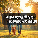 如何正确养护黄缘龟?(黄缘龟饲养方法及关键要点)(图3) 如何正确养护黄缘龟?(黄缘龟饲养方法及关键要点)(图3)