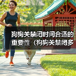 狗狗关禁闭时间合适的重要性（狗狗关禁闭多久放出来最合适？关键是观察和了解）(图1)