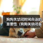狗狗关禁闭时间合适的重要性（狗狗关禁闭多久放出来最合适？关键是观察和了解）(图4)