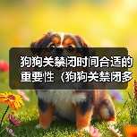 狗狗关禁闭时间合适的重要性（狗狗关禁闭多久放出来最合适？关键是观察和了解）(图3)