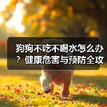 狗狗不吃不喝水怎么办?健康危害与预防全攻略(图3) 狗狗不吃不喝水怎么办?健康危害与预防全攻略(图2)