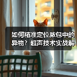 如何精准定位脓包中的异物?超声技术实战解析(图3) 如何精准定位脓包中的异物?超声技术实战解析(图3)