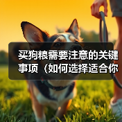 买狗粮需要注意的关键事项(如何选择适合你的狗的优质狗粮)(图4) 买狗粮需要注意的关键事项(如何选择适合你的狗的优质狗粮)(图4)