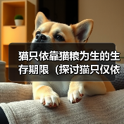 猫只依靠猫粮为生的生存期限(探讨猫只仅依靠猫粮维持生存的可能时间)(图1) 猫只依靠猫粮为生的生存期限(探讨猫只仅依靠猫粮维持生存的可能时间)(图1)